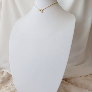 Front Toggle Rope Necklace
